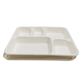 De la caja biodegradable de la comida del color de la categoría alimenticia de la caña de azúcar de la pulpa del material contaminación blanca no proveedor