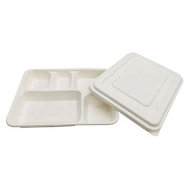 De la caja biodegradable de la comida del color de la categoría alimenticia de la caña de azúcar de la pulpa del material contaminación blanca no proveedor