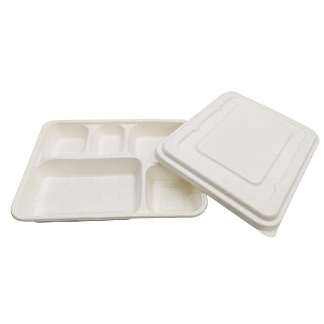 De la caja biodegradable de la comida del color de la categoría alimenticia de la caña de azúcar de la pulpa del material contaminación blanca no proveedor